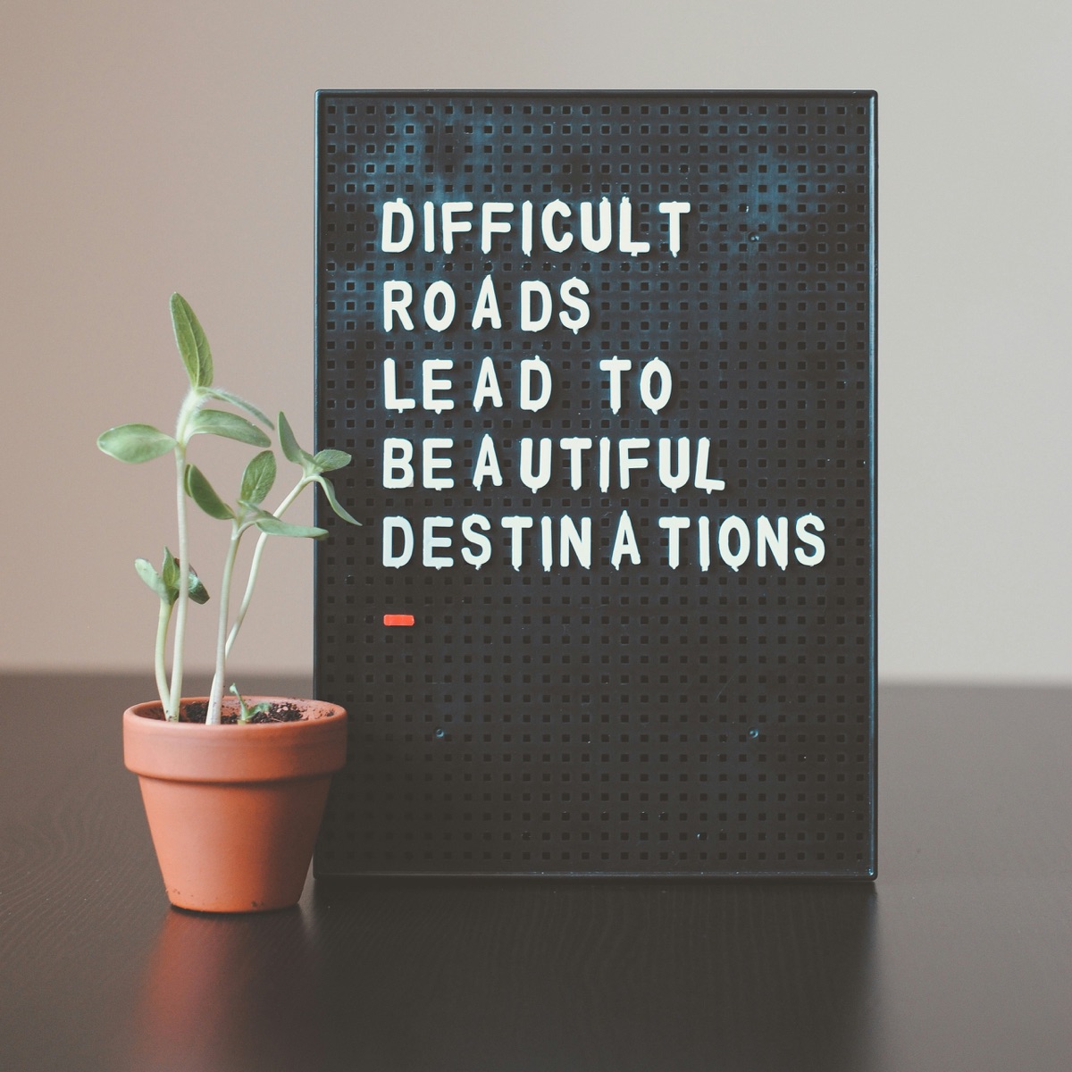 A sign reading &ldquo;difficult roads lead to beautiful destinations&rdquo;, beside a young plant